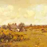 Wilkins Waite (1854-1924)