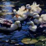 Koester_Alexander_Five_Ducks_In_A_Pond