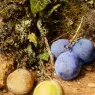 Hunt_William_Henry_Still_Life_With_Greengages_And_Plums_On_A_Mossy_Bank