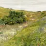 Chase_William_Merritt_Landscape_Shinnecock_Hills