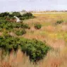 Chase_William_Merritt_Landscape_near_Coney_Island