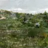 Chase_William_Merritt_Shinnecock_Landscape_26x40cm