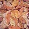 William Morris
