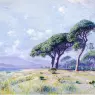 Haseltine_William_Stanley_Cannes