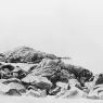 Haseltine_William_Stanley_New_England_Coast