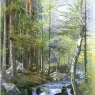 Haseltine_William_Stanley_Torrent_in_Wood_behind_Mill_Dam_Vahrn_near_Brixen_Tyrol