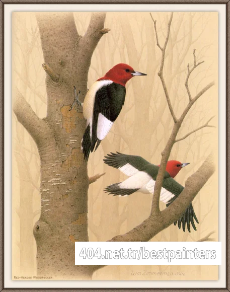 Sj_WbZ_01_Red-headed_Woodpecker