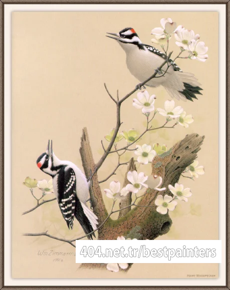 Sj_WbZ_03_Hairy_Woodpecker