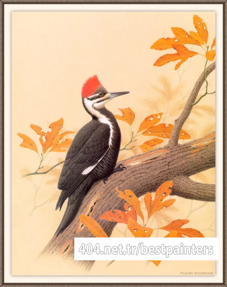 Sj_WbZ_10_Pileated_Woodpecker_1