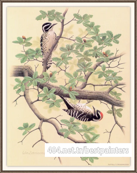 Sj_WbZ_15_Nuttall%27s_Woodpecker