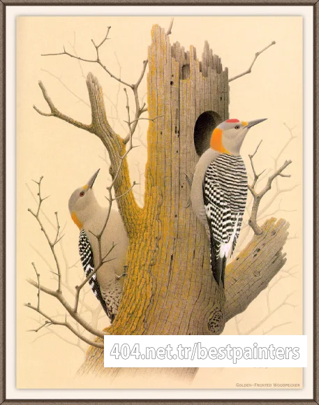 Sj_WbZ_18_Golden-fronted_Woodpecker