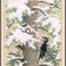 Sj_WbZ_23_Three-toed_Woodpecker