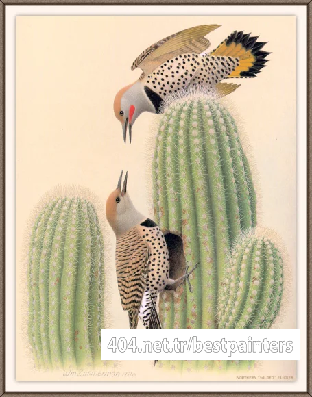 Sj_WbZ_25_Northern_Gilded_Flicker