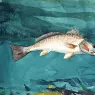 Homer_Winslow_Channel_Bass