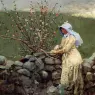Homer_Winslow_Peach_Blossoms2