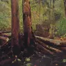 Woodchopper_in_the_Adirondacks