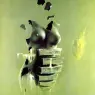 ma_Siudmak_L%27ordre_organique