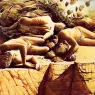 ma_Siudmak_Phenix_detail