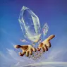 ma_Siudmak_V5_La_Terre_offrant_ses_joyaux