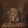 ma_Siudmak_Vol6_Promises_Courtyard