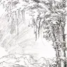 HUBER_Wolf_Landscape_near_Feldkirch