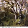 Zang Wenxin