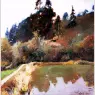 RedSnow_ISC_LbZWX_07_Pool-in-Valley