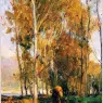 Zang Wenxin