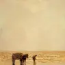 Maris_Jacob_Collecting_Shellfish