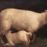 BASSANO_Jacopo_Sheep_And_Lamb