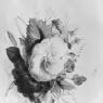 Holland_James_Flowers