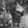 Tissot_Le_veuf