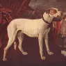 FYT_Jan_Big_Dog_Dwarf_And_Boy