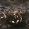 FYT_Jan_Bittern_And_Ducks_Startled_By_Dogs