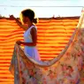 Larson_Jeffrey_2001_Patterns_20by24in