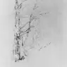 McEntee_Jervis_Dry_Brook