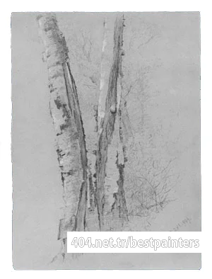 McEntee_Jervis_Study_Of_Birch_Trunks