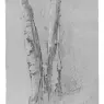 Jervis McEntee (1828-1921)