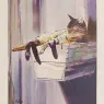 cat