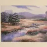 meadows