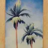 palms1