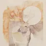 shadow