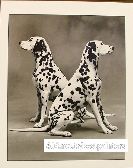 twodalmations