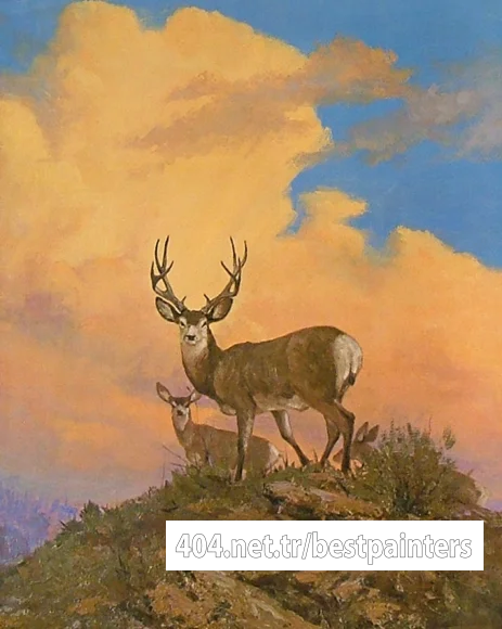 whitetail