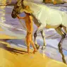 Sorolla_Joaquin_El_Bano_Del_Caballo