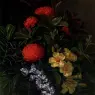 Jensen_Allemanda_Ixora_And_Orchids