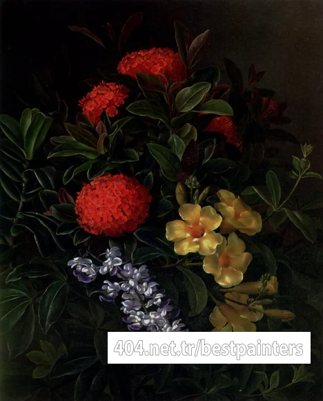 Jensen_Allemanda_Ixora_And_Orchids