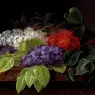 Jensen_Johan_Laurentz_White_And_Purple_Lilacs_Camellia_And_Beech_Leaves_On_A_Marble_Ledge