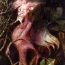 Fitzgerald_John_Anster_Fairies_In_A_Birds_Nest_detail_4