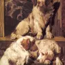 Emms_John_Clumber_Spaniels